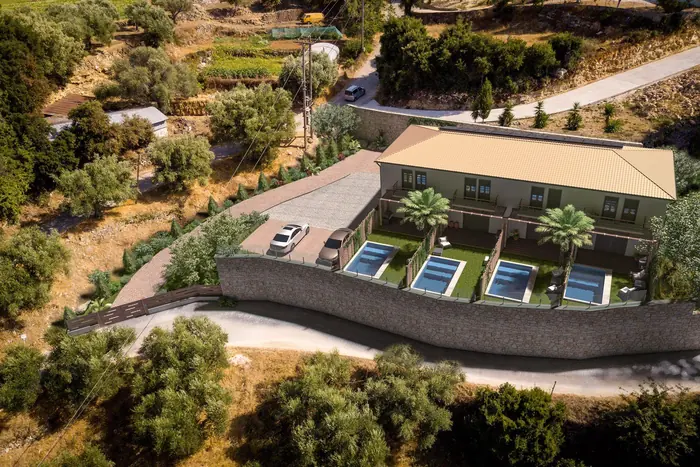 Aerial above the olive groves